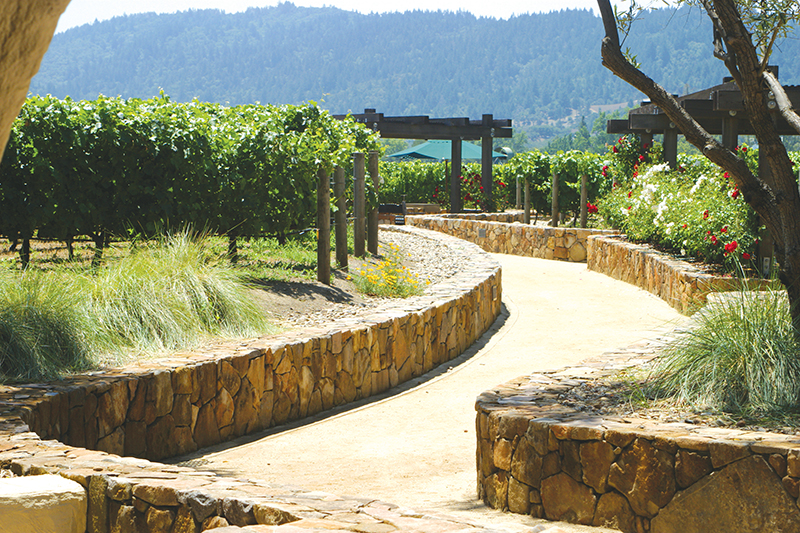 a stone path and walls leading to a vineyard